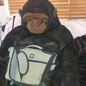 Victorinox Swiss Gear Canvas Laptop Messenger Crossbody Bag